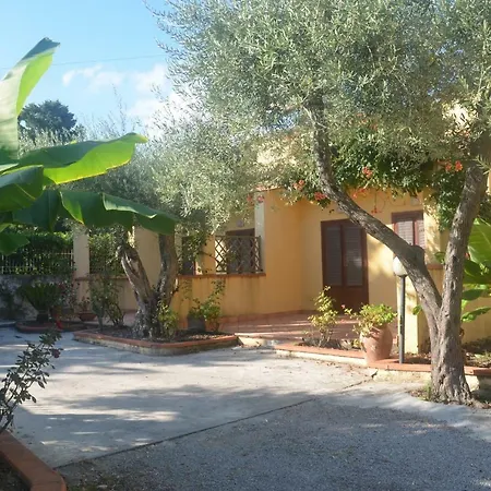 Apartman Holiday